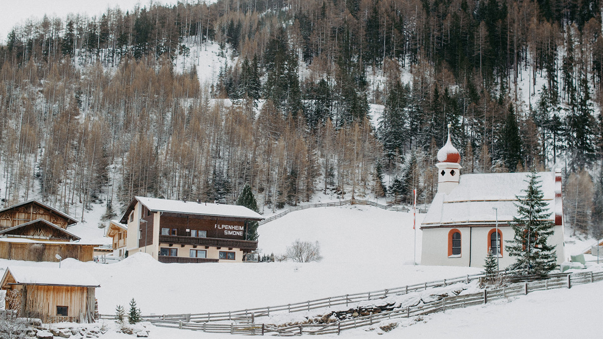 Sabine_Stella_Fotografin_winter-18-02