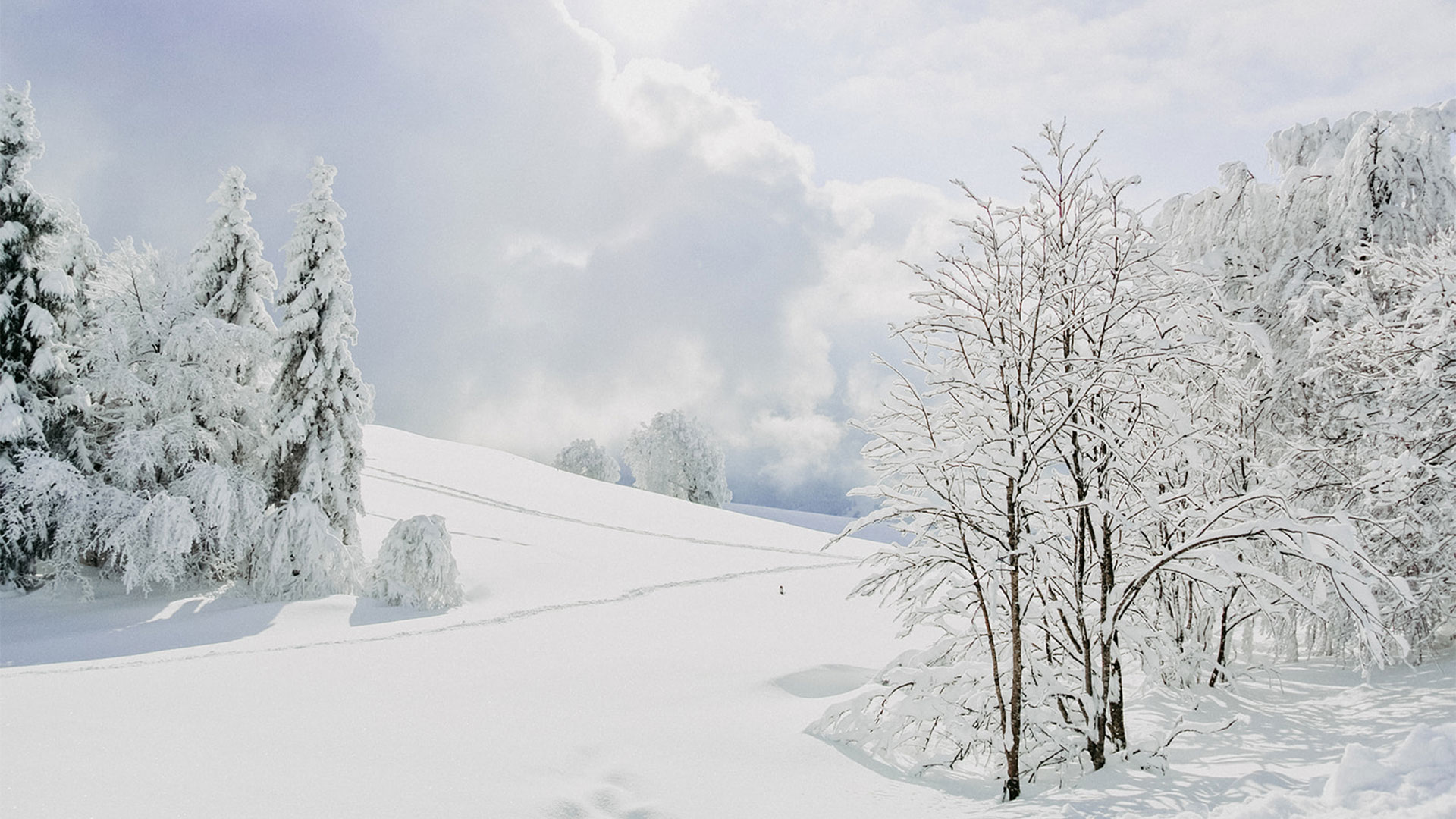 KARTEN-von-Sabine-Stella-erdbeerkunst-015-2